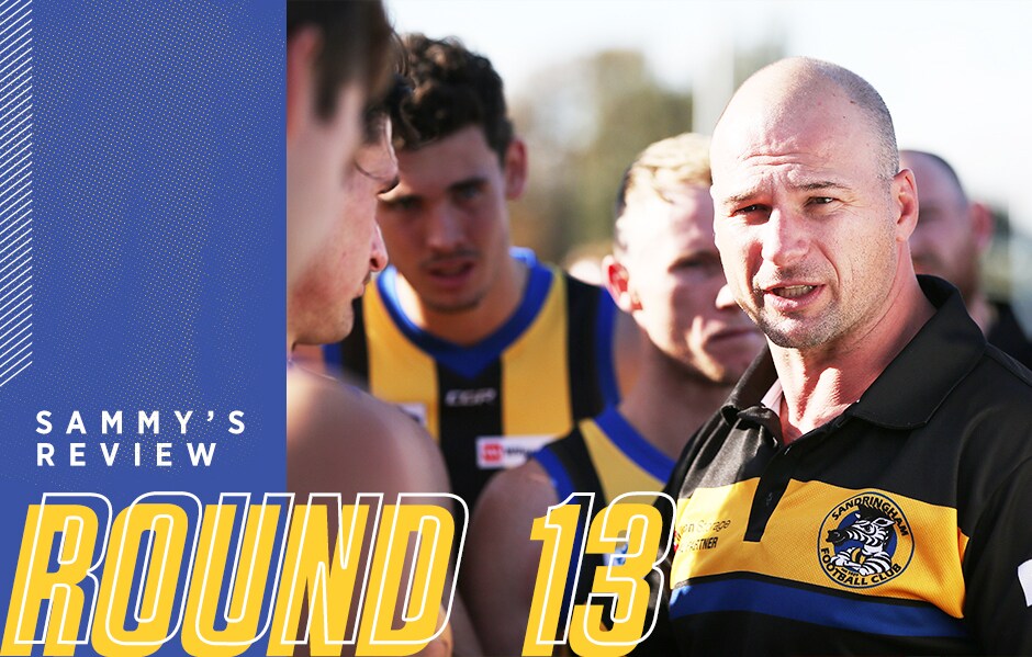 Sandringham coach Aaron Hamill reviewed the performance of each Saint against Richmond at Wilson Storage Trevor Barker Beach Oval. - St Kilda Saints,Richmond Tigers,VFL,Trevor Barker Beach Oval